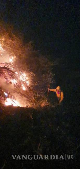 $!El incendio forestal al momento lleva seis hectáreas afectadas y se consume matorral bajo y lechugilla.