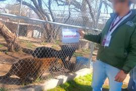 La Procuraduría Federal de Protección al Ambiente (Profepa) llevó a cabo una inspección en un predio destinado al turismo de naturaleza localizado en la comunidad de Jaltomate.