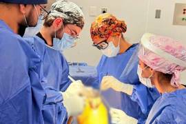 Las cirugías permitieron a los derechohabientes recuperar la capacidad de caminar sin dolor y mejorar su calidad de vida.