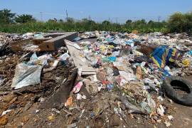 La dependencia municipal aplicó sanciones tras notificar a los dueños de los desechos.