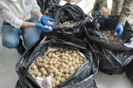 Elementos de la Sedena localizaron más de 11 mil huevos de tortuga golfina en un retén en Colima; Profepa emitió un dictamen técnico por daño ambiental.