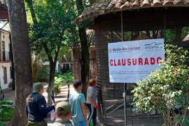 Reubica Profepa a 41 ejemplares que presentaban estrés y peso bajo, en Morelos.