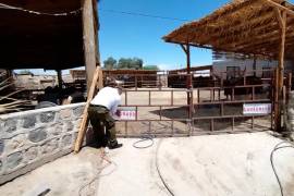 Inspectores de la Profepa clausuraron un predio que operaba sin autorización para el manejo de fauna silvestre en Francisco I. Madero, Coahuila.