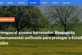 La plataforma integra datos, reportes y recursos generados por diversas agencias federales y por instalaciones productoras de moscas estériles en México, Panamá y Texas.