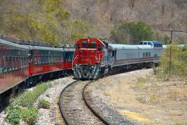 Autoridades trabajan en las obras que acompañan el proyecto ferroviario y preparan la infraestructura necesaria para su llegada.