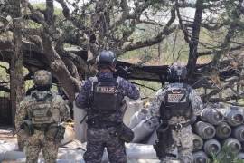 Fue durante los patrullajes de disuasión en donde detectaron un predio de aproximadamente dos hectáreas.