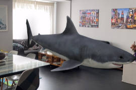 El truco de realidad aumentada de Google para ver ¡un tiburón o un tigre en tu casa!