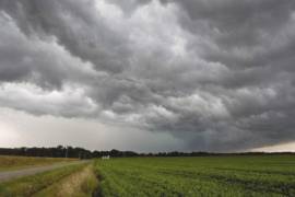 La humedad permitirá el arranque óptimo de las siembras de otoño-invierno, la infiltración profunda en la cuenca y el llenado de las presas de abrevadero ejidales