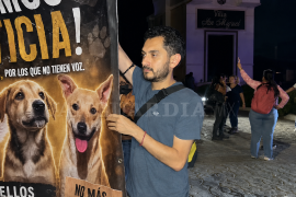 El caso de Rocky desató protestas ciudadanas en Saltillo y alcanzó repercusión nacional, con exigencias de justicia y castigo para los responsables del maltrato animal.