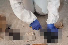 Aquí los paquetes de droga asegurados durante el operativo en Saltillo.