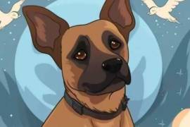 Piden justicia por Scooby, perrito que fue asesinado en Estado de México.