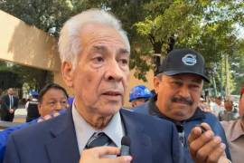 Domínguez ofreció 1,400 millones de pesos por la acerera, pero nunca probó contar con los recursos.