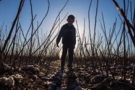 La Unión Americana apuntó que en la región de Puebla-Tlaxcala por lo menos 30 compañías textiles han hecho cierres parciales