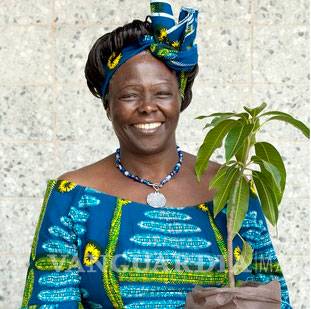 $!‘La Mujer Árbol’, el legado de Wangari Maathai