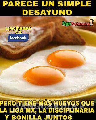 $!Aquí están los memes del paro de le Liga MX