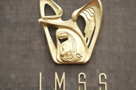 Sindicato libre propone que personal del IMSS se jubile a los 28 años