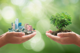 Especialistas consideran que el cuidado del medio ambiente es un compromiso ético con las futuras generaciones.
