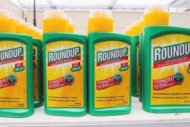 Busca el Parlamento Europeo prohibir el glifosato, un herbicida