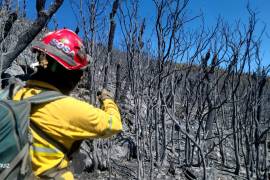 El incendio forestal reportado en Zaragoza, Nuevo León dejó una afectación de 120 hectáreas entre sotol, lechugilla, hojarasca y pino piñón