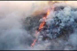 Las llamas empezaron en las montañas de Ímuris el pasado 9 de junio, y autoridades reportaron ayer que están controladas a 65 por ciento, y liquidadas a 50 por ciento