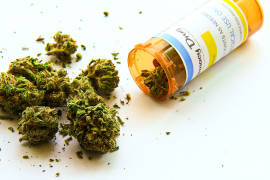 Cancelan reglas para comercializar mariguana medicinal