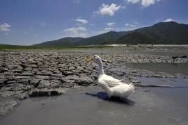 El país se calienta más rápido que el promedio mundial y el año 2024 fue el más cálido del que se tiene registro.