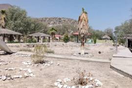 El municipio de Viesca sufre por la falta de agua y el excesivo calor.