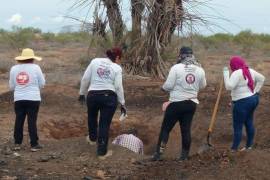 Se reportó el hallazgo de una fosa con restos óseos en la localidad La Cuadrita, correspondiente a El Ejido San José de Guaymas, municipio de Guaymas