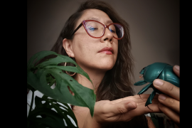 Viridiana Lizardo lleva conceptos de biología a la literatura infantil con tres relatos sobre los cambios de la naturaleza.