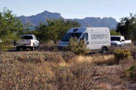 Arrojan cinco cuerpos en camino de terracería en Sonora, AMLO visitará la localidad