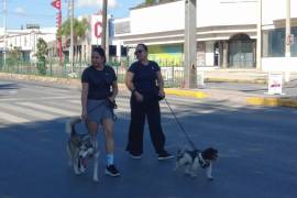 La Ruta Recreativa promueve la tenencia responsable de animales de compañía.