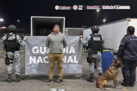 Con el apoyo de un binomio canino, se halló un doble fondo en la caja del vehículo que contenía 195 paquetes de droga.