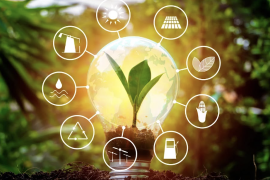 Sustituir los focos convencionales por tecnología LED es una de las medidas recomendadas para ahorrar energía.