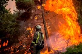 Más de 1,500 brigadistas fueron capacitados en técnicas de combate de incendios, mejorando la respuesta ante emergencias en todo el estado.