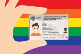 Integrantes de la comunidad LGBT teme dificultades a la hora de ejercer el voto.