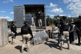 El operativo tuvo lugar en un puesto de control de carretera, donde un camión fue detenido y revisado.