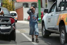 La dependencia informó que la mayoría de los casos involucra a niños menores de 8 años y que se da seguimiento para verificar su entorno familiar y prevenir posibles irregularidades.