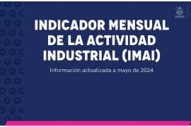 Indicador mensual de la actividad industrial, mayo 2024 del Inegi.