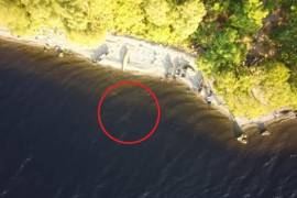 El video fue grabado por un dron que sobrevolaba la orilla del río cuando captó a la supuesta criatura