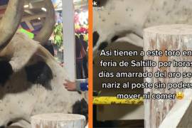 Denuncian con video en redes sociales supuesto maltrato animal en Feria de Saltillo.