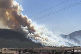 El viento jugó en contra de los brigadistas, ya que el fuego avanzó más rápido por la zona serrana.