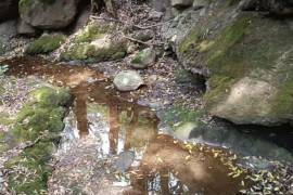 El accidente en la autopista Naucalpan-Toluca afectó el suministro de agua en Magdalena Chichicaspa.
