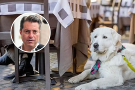 Coahuila promueve el acceso a restaurantes de personas acompañadas de animales de asistencia. La estrategia estatal incorpora capacitación para mejorar la atención a personas con discapacidad.
