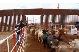 Ganaderos de Coahuila expresaron su preocupación por la tercera suspensión del comercio en menos de ocho meses, a causa del gusano barrenador.