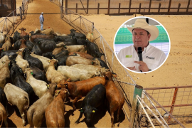 Coahuila permanece sin fecha oficial para recuperar las exportaciones por su frontera; productores están a la espera de que se abran las fronteras coahuilenses.