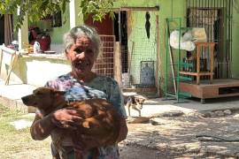 Emilia Arrieta mantiene bajo su cuidado a 39 perros rescatados.