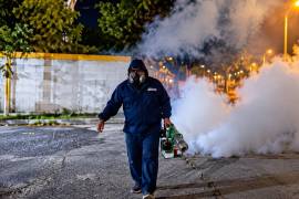 Los trabajos forman parte de las medidas para reducir riesgos asociados al dengue y fortalecer la prevención sanitaria.