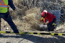 Bomberos extrajo el cuerpo del interior del arroyo