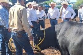 Alerta. Coahuila intensifica controles tras detección de gusano barrenador en Nuevo León.