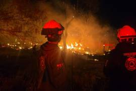 Protección Civil de Nuevo León atendió un incendio nocturno que arrasó con tejabanes y corrales en la colonia Avance Popular, sin reportar personas ni animales heridos